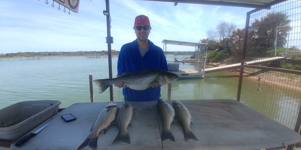 Cut Bait - Lake Buchanan Fishing Guide - Fernandez Striper Guide