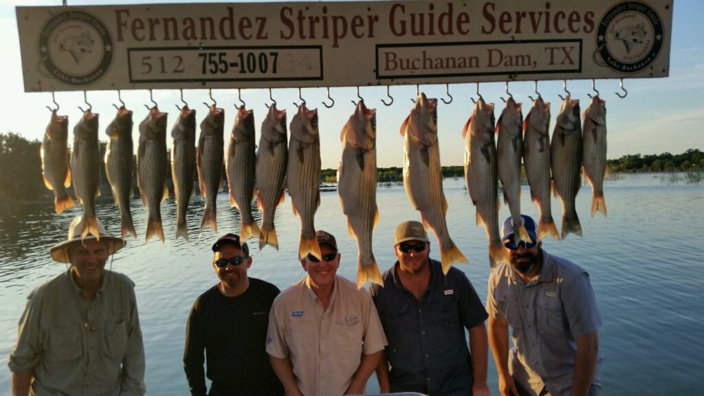 live bait striper fishing